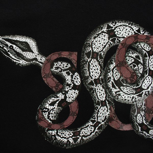 SSnake - immagine 3